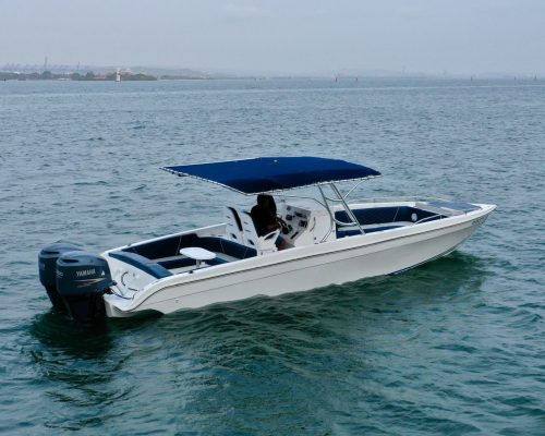 IMG-20250102-WA0311