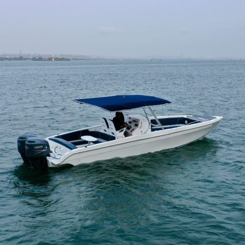 IMG-20250102-WA0311
