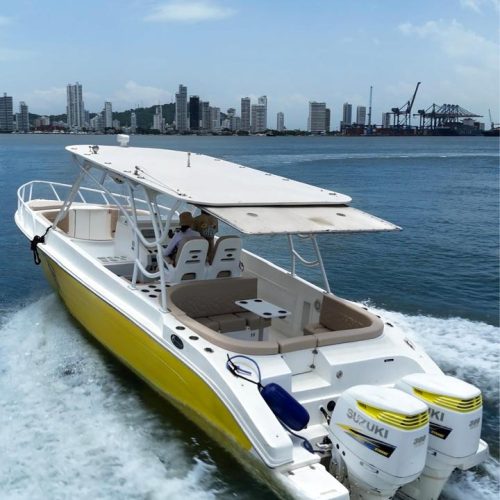 IMG-20251128-WA0144